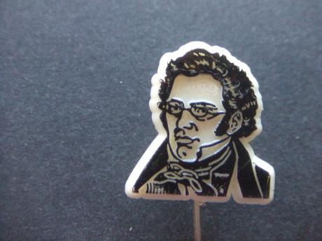 Franz Schubert componist uit de 19e eeuw  van liederen,en symfonieën, strijkkwartetten en sonates( o.a. Ave Maria)